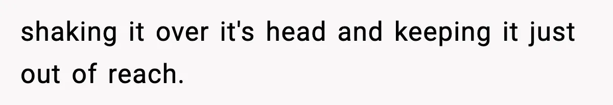 shaking it over it's head and keeping it just out of reach.