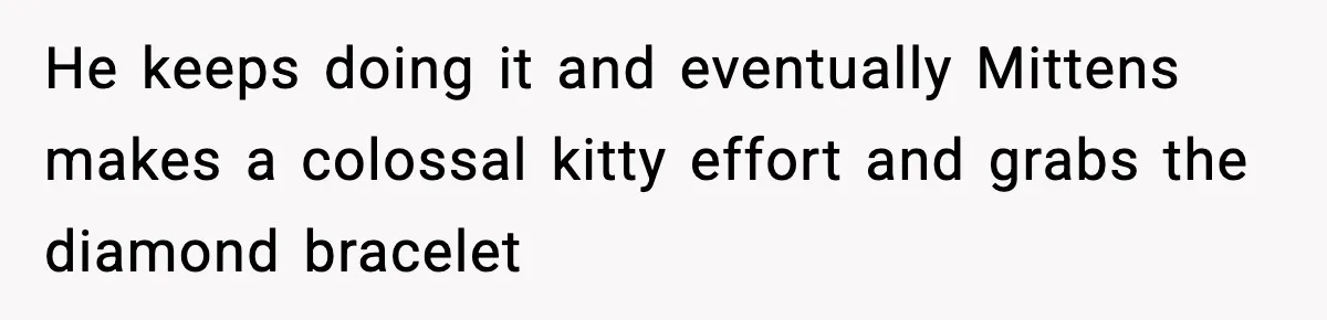 He keeps doing it and eventually Mittens makes a colossal kitty effort and grabs the diamond bracelet