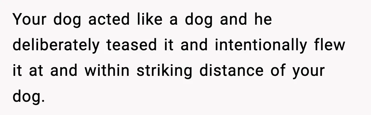 Your dog acted like a dog and he deliberately teased it and intentionally flew it at and within striking distance of your dog.