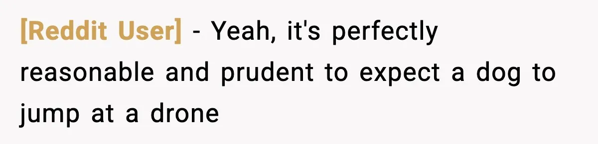 [Reddit User] − Yeah, it's perfectly reasonable and prudent to expect a dog to jump at a drone