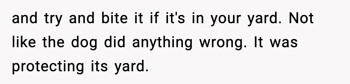 and try and bite it if it's in your yard. Not like the dog did anything wrong. It was protecting its yard.