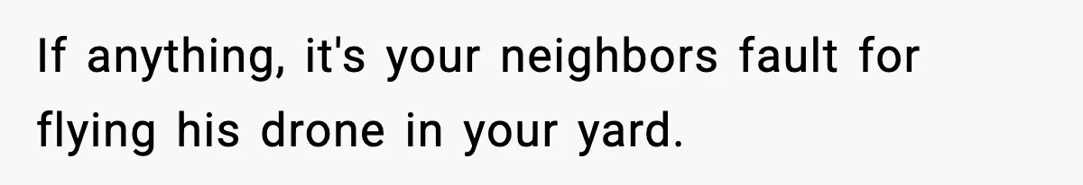 If anything, it's your neighbors fault for flying his drone in your yard.
