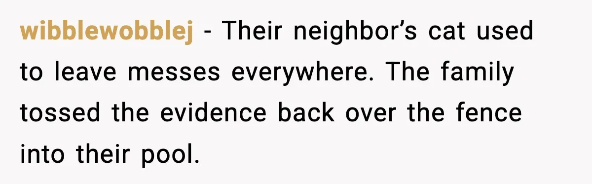 wibblewobblej - Their neighbor’s cat used to leave messes everywhere. The family tossed the evidence back over the fence into their pool.