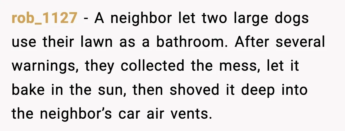 rob_1127 - A neighbor let two large dogs use their lawn as a bathroom. After several warnings, they collected the mess, let it bake in the sun, then shoved it...