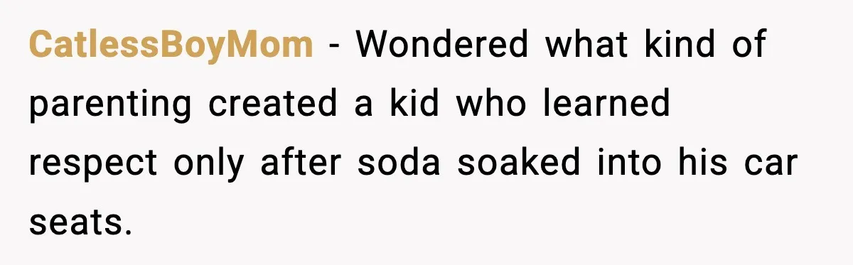 CatlessBoyMom - Wondered what kind of parenting created a kid who learned respect only after soda soaked into his car seats.