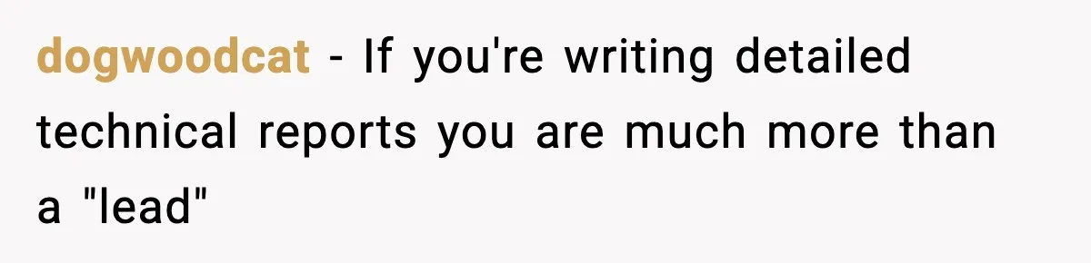 dogwoodcat − If you're writing detailed technical reports you are much more than a "lead"