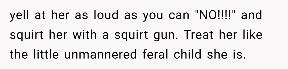 yell at her as loud as you can "NO!!!!" and squirt her with a squirt gun. Treat her like the little unmannered feral child she is.