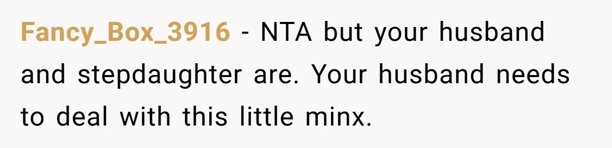 Fancy_Box_3916 − NTA but your husband and stepdaughter are. Your husband needs to deal with this little minx.
