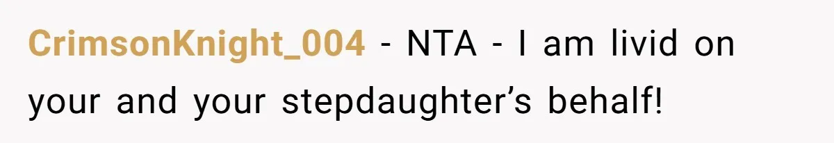 CrimsonKnight_004 − NTA - I am livid on your and your stepdaughter’s behalf!