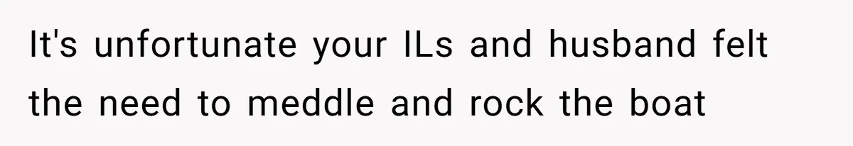 It's unfortunate your ILs and husband felt the need to meddle and rock the boat