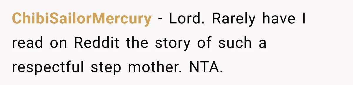 ChibiSailorMercury − Lord. Rarely have I read on Reddit the story of such a respectful step mother. NTA.