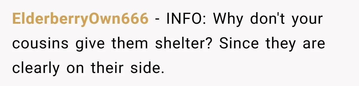 Man Welcomes Homeless Brother Into Home Only To Hear Vile Slur And Kick Entire Family With Wife And Kids Out ElderberryOwn666 − INFO: Why don't your cousins give them shelter? Since they are clearly on their side.