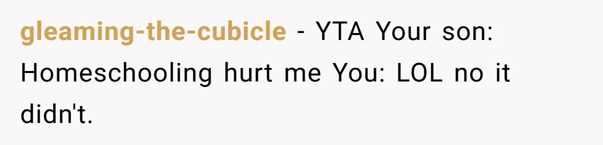 gleaming-the-cubicle − YTA Your son: Homeschooling hurt me You: LOL no it didn't.