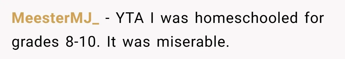 MeesterMJ_ − YTA I was homeschooled for grades 8-10. It was miserable.