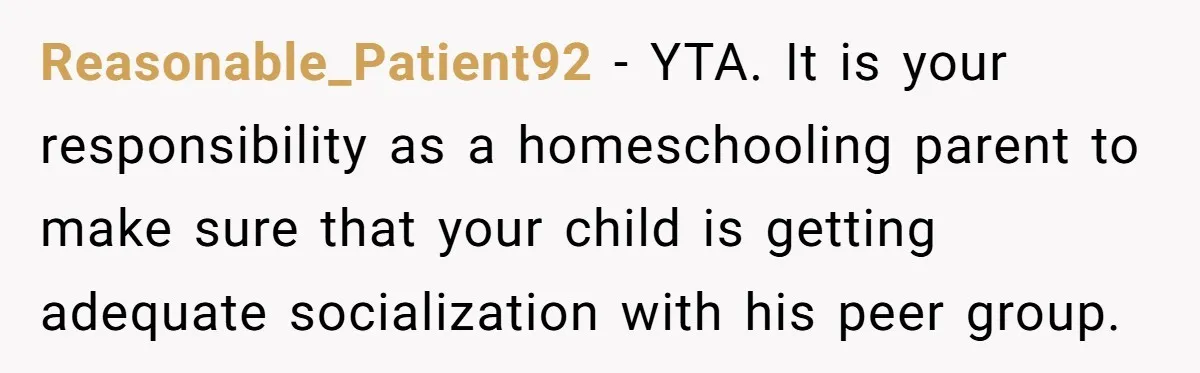 Reasonable_Patient92 − YTA. It is your responsibility as a homeschooling parent to make sure that your child is getting adequate socialization with his peer group.