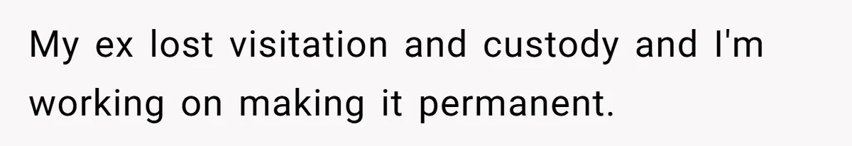 My ex lost visitation and custody and I'm working on making it permanent.