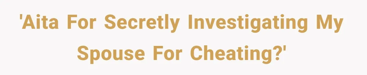 'AITA for Secretly Investigating My Spouse for Cheating?'