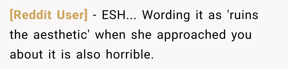 [Reddit User] - ESH... Wording it as 'ruins the aesthetic' when she approached you about it is also horrible.