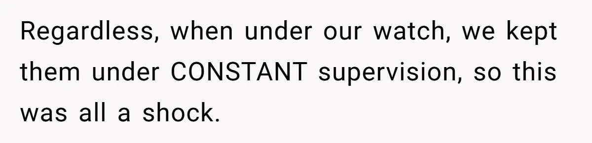 Regardless, when under our watch, we kept them under CONSTANT supervision, so this was all a shock.