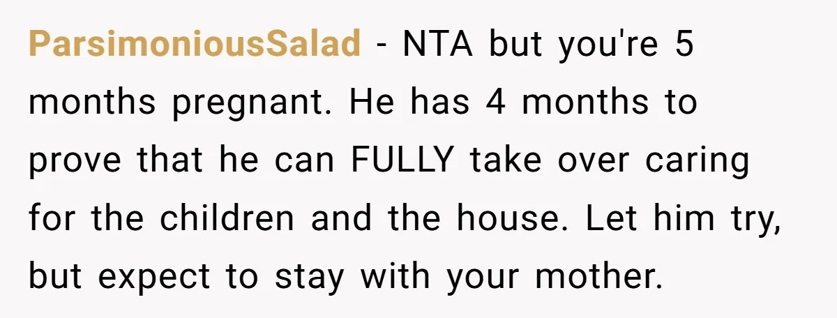 ParsimoniousSalad - NTA but you're 5 months pregnant. He has 4 months to prove that he can FULLY take over caring for the children and the house. Let him try,...