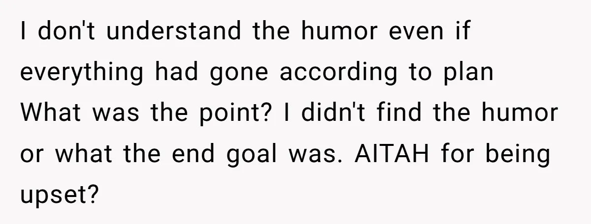 I don't understand the humor even if everything had gone according to plan What was the point? I didn't find the humor or what the end goal was. AITAH for...