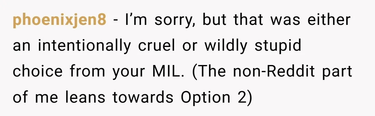 phoenixjen8 − I’m sorry, but that was either an intentionally cruel or wildly stupid choice from your MIL. (The non-Reddit part of me leans towards Option 2)