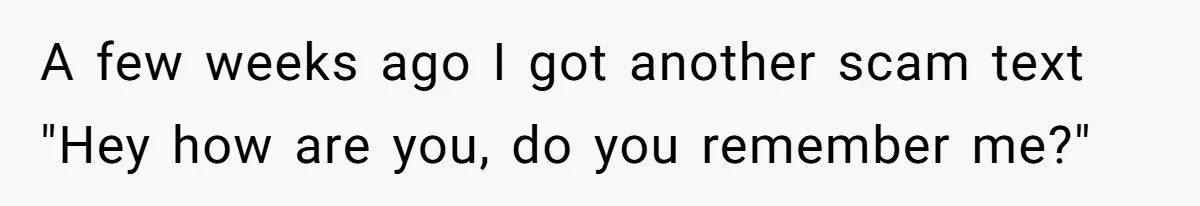 A few weeks ago I got another scam text "Hey how are you, do you remember me?"