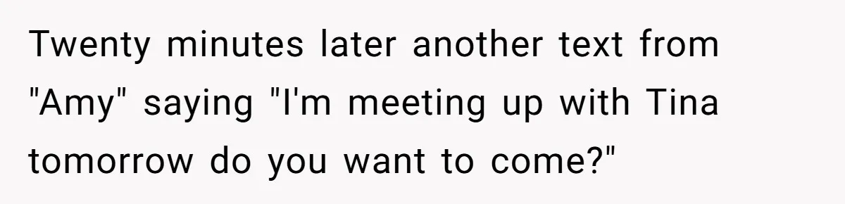 Twenty minutes later another text from "Amy" saying "I'm meeting up with Tina tomorrow do you want to come?"
