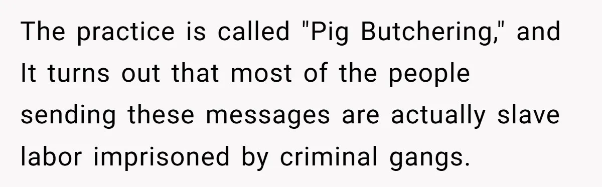 The practice is called "Pig Butchering," and It turns out that most of the people sending these messages are actually slave labor imprisoned by criminal gangs.
