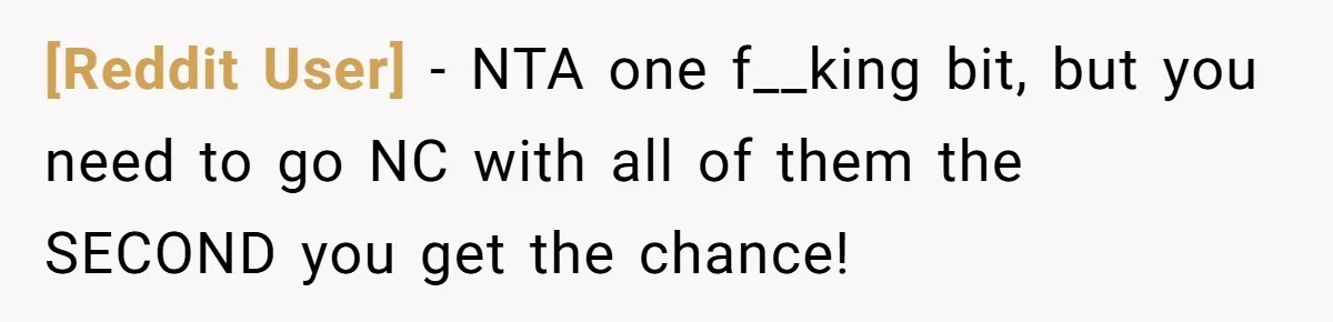 [Reddit User] − NTA one f__king bit, but you need to go NC with all of them the SECOND you get the chance!