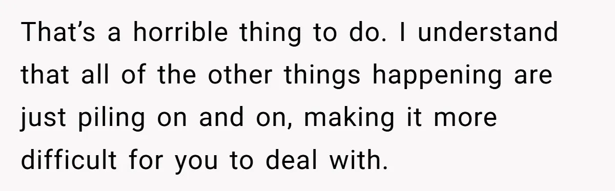 That’s a horrible thing to do. I understand that all of the other things happening are just piling on and on, making it more difficult for you to deal with.