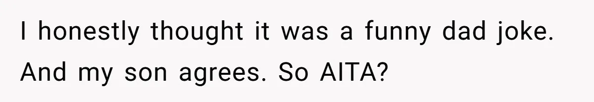 I honestly thought it was a funny dad joke. And my son agrees. So AITA?