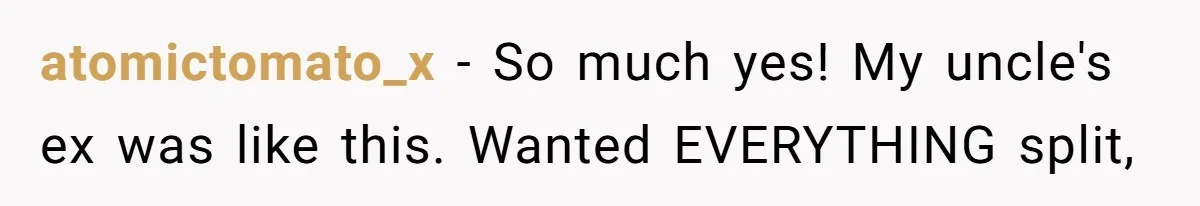 Dad Sends Ex Details Of Tiny Pay Rise And Watches Her Lawyer Bill Explode Over Two Dollars Monthly atomictomato_x − So much yes! My uncle's ex was like this. Wanted EVERYTHING split,