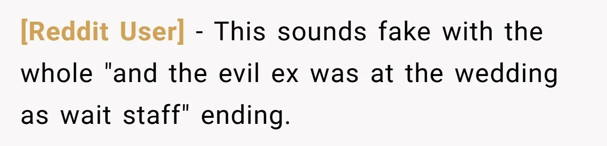[Reddit User] - This sounds fake with the whole "and the evil ex was at the wedding as wait staff" ending.