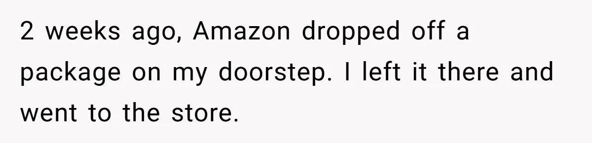 2 weeks ago, Amazon dropped off a package on my doorstep. I left it there and went to the store.