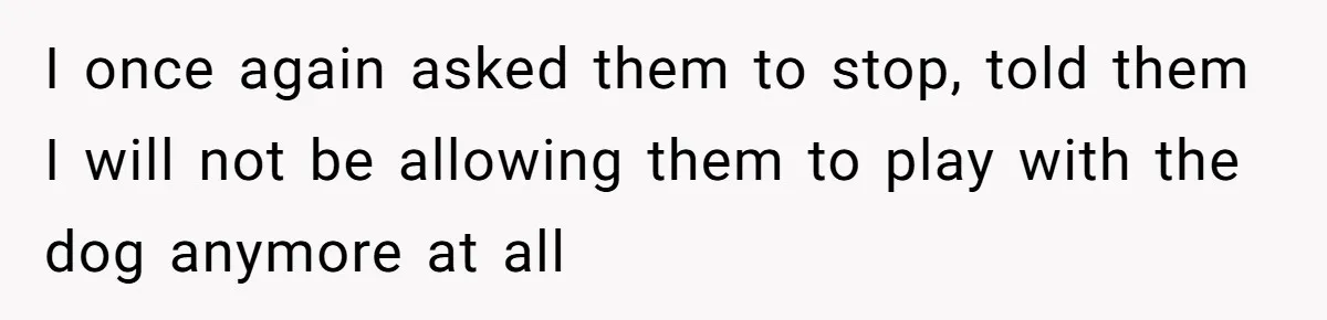 I once again asked them to stop, told them I will not be allowing them to play with the dog anymore at all