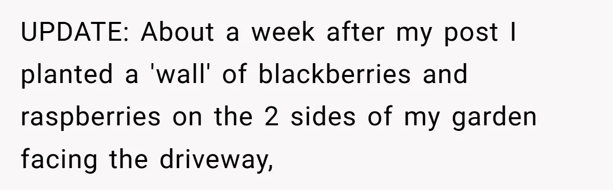 UPDATE: About a week after my post I planted a 'wall' of blackberries and raspberries on the 2 sides of my garden facing the driveway,