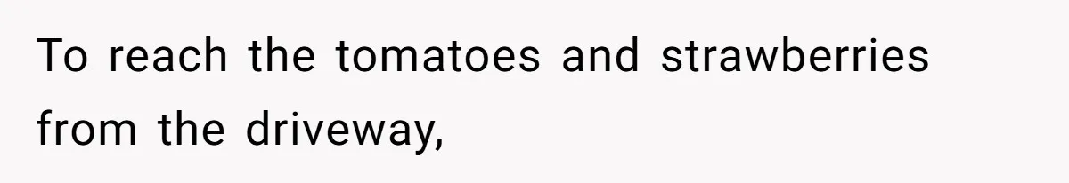 To reach the tomatoes and strawberries from the driveway,