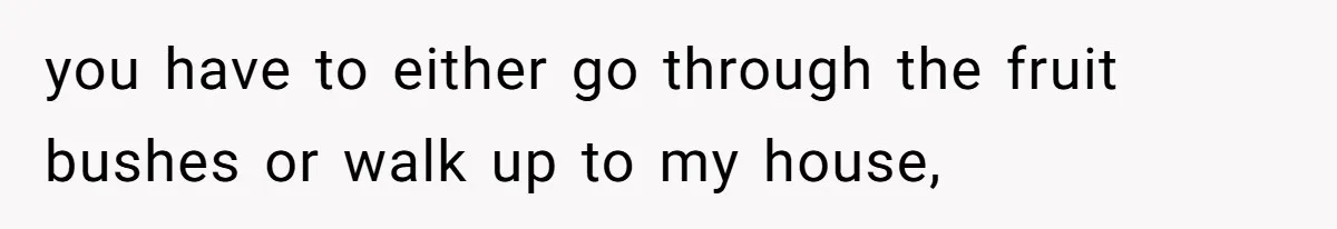 you have to either go through the fruit bushes or walk up to my house,