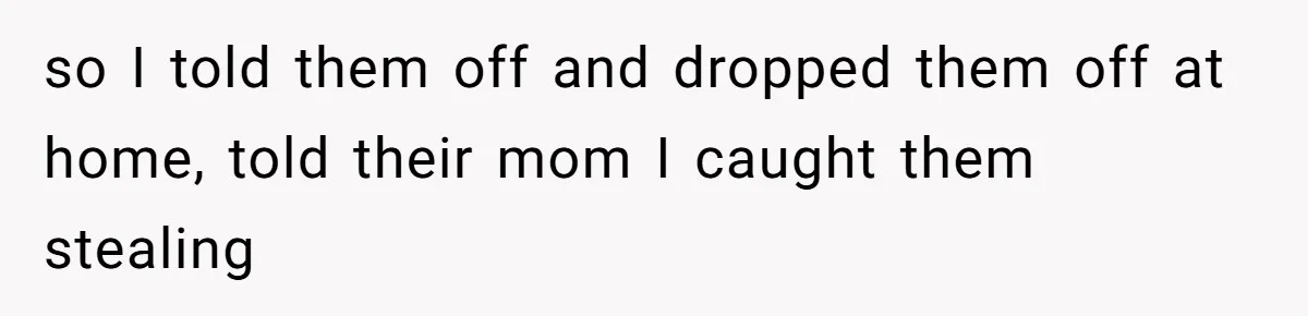so I told them off and dropped them off at home, told their mom I caught them stealing