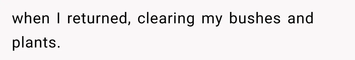 when I returned, clearing my bushes and plants.