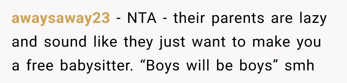 awaysaway23 − NTA - their parents are lazy and sound like they just want to make you a free babysitter. “Boys will be boys” smh