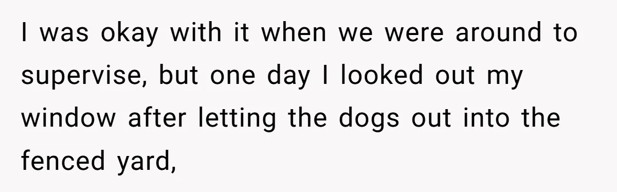 I was okay with it when we were around to supervise, but one day I looked out my window after letting the dogs out into the fenced yard,