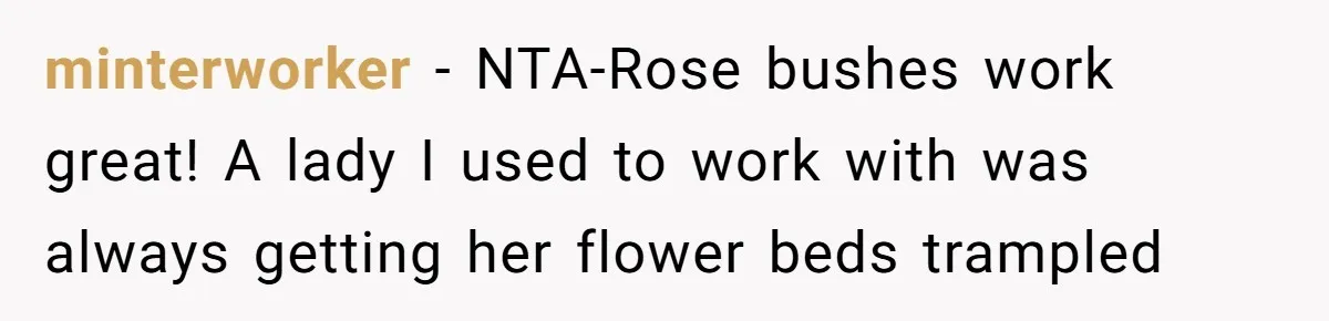 minterworker − NTA-Rose bushes work great! A lady I used to work with was always getting her flower beds trampled