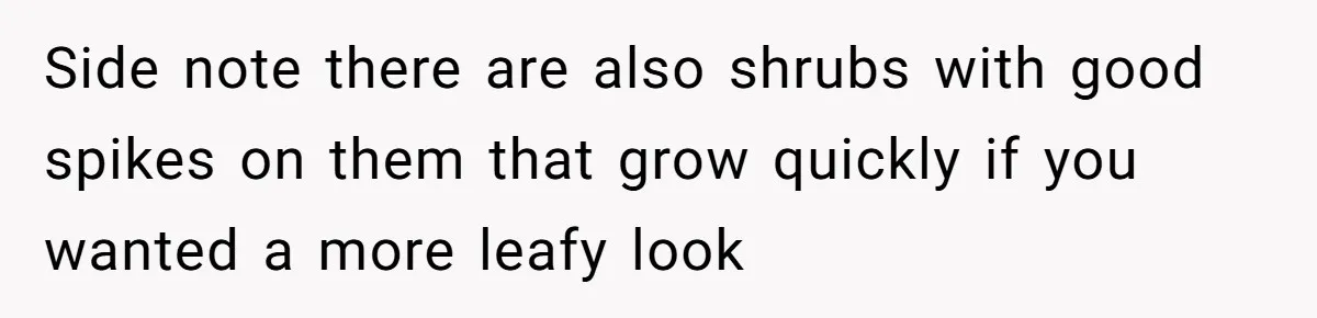 Side note there are also shrubs with good spikes on them that grow quickly if you wanted a more leafy look