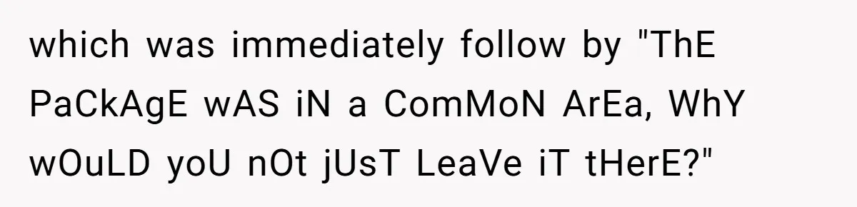 which was immediately follow by "ThE PaCkAgE wAS iN a ComMoN ArEa, WhY wOuLD yoU nOt jUsT LeaVe iT tHerE?"