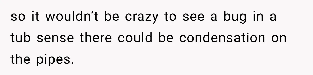 so it wouldn’t be crazy to see a bug in a tub sense there could be condensation on the pipes.