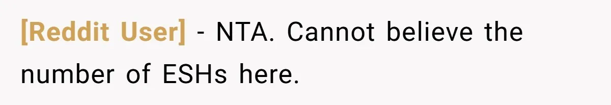 [Reddit User] − NTA. Cannot believe the number of ESHs here.