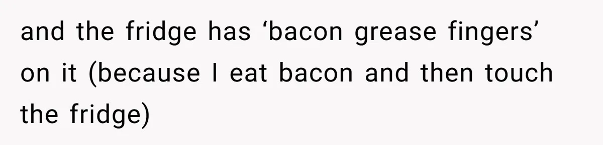 and the fridge has ‘bacon grease fingers’ on it (because I eat bacon and then touch the fridge)