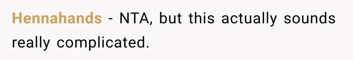 Hennahands − NTA, but this actually sounds really complicated.